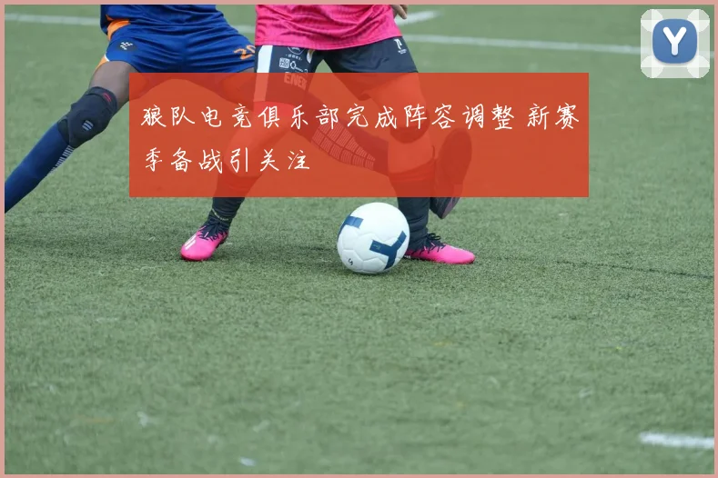 狼队电竞俱乐部完成阵容调整 新赛季备战引关注